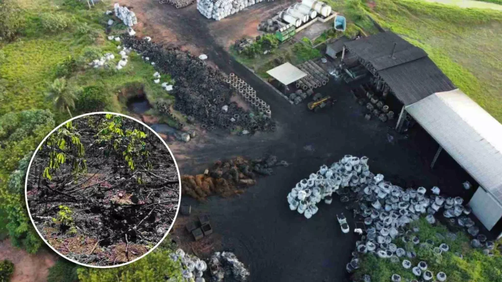Indústria faz queima de pneus e atividade está degradando meio ambiente, segundo o MP. (Reprodução)