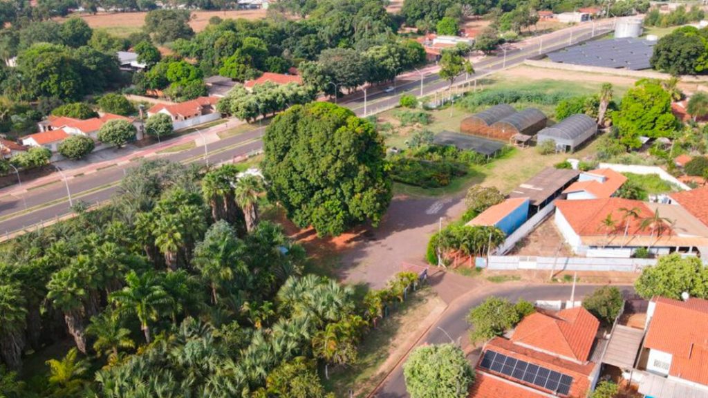 Divulgação