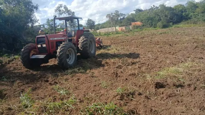 Departamento de Desenvolvimento Rural intensifica apoio técnico e operacional aos pequenos produtores durante o mês de agosto