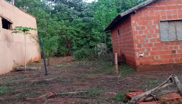 Local arrendado pelo ex-prefeito para a exploração agrícola (Foto: Reprodução) ... veja mais em https://www.campograndenews.com.br/brasil/cidades/ex-prefeito-de-campo-grande-e-despejado-de-gleba-por-divida-de-arrendamento