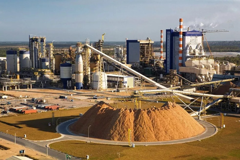 Suzano em Três Lagoas e Mato Grosso do Sul