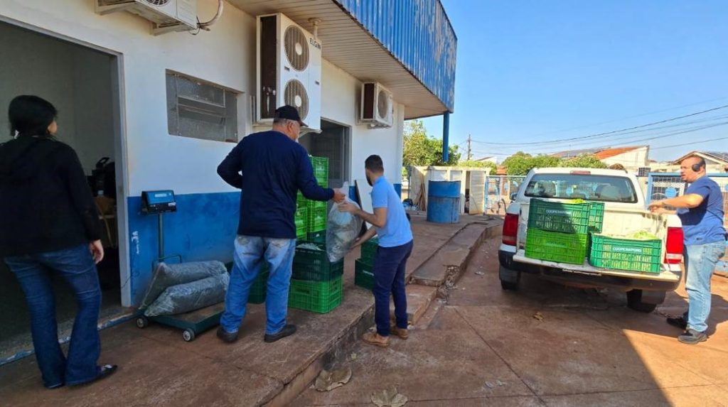 Alimentos adquiridos da agricultura familiar são repassados pela Prefeitura de Dourados para entidades beneficentes. Divulgação/Assecom