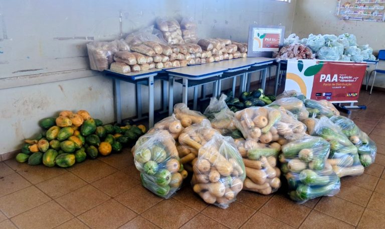 Os alimentos dessa primeira etapa contemplaram escolas e estudantes de três unidades de ensino da aldeia Bororó. Foto: A. Frota