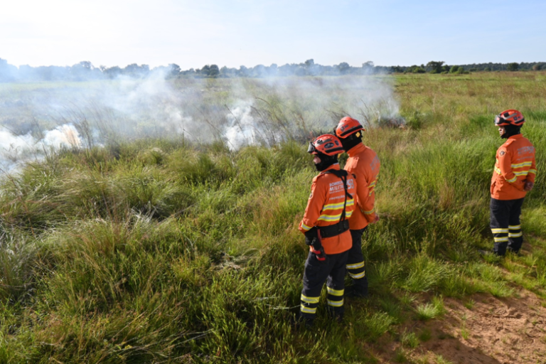 Dados consolidados revelam que 2025 caminha para ser o melhor ano da série histórica iniciada em 1998 em MS. (Foto: Divulgação/CBMMS)