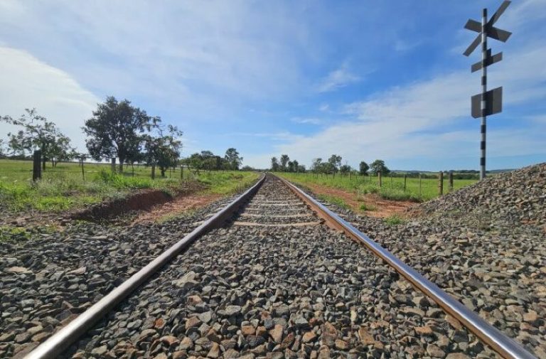 ANTT aprova proposta da Arauco em construir ramal ferroviário para escoar celulose pela Malha Norte