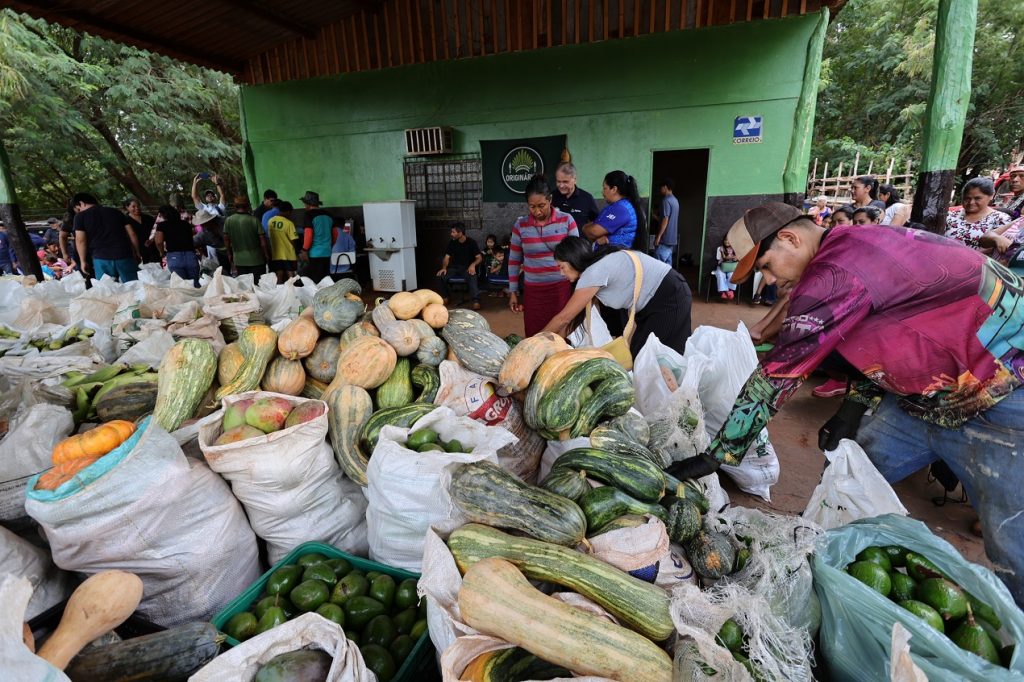 Variedades de produtos são todos produzidos na Reserva Indígena, adquirido pelo PAA e distribuídos na própria comunidade – Fotos: A. Frota