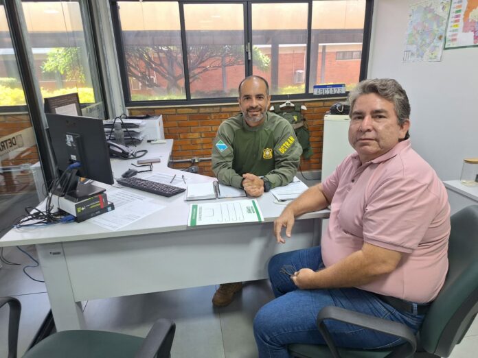 Divulgação