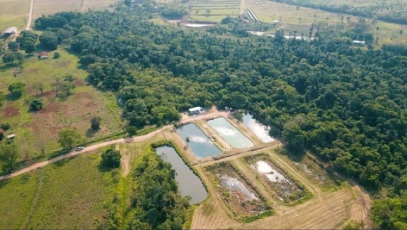 Fazenda Escola UFMS
