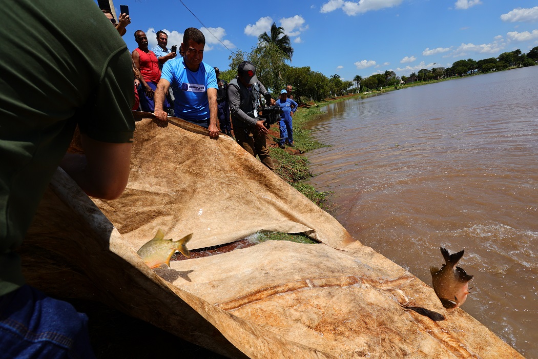 Soltura de peixes é parte da programação da 2 Festa da Páscoa que deve reunir milhares de pessoas no Parque Antenor Martins- Foto: A. Frota