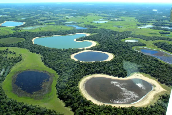 Pantanal-Mato Grosso do Sul