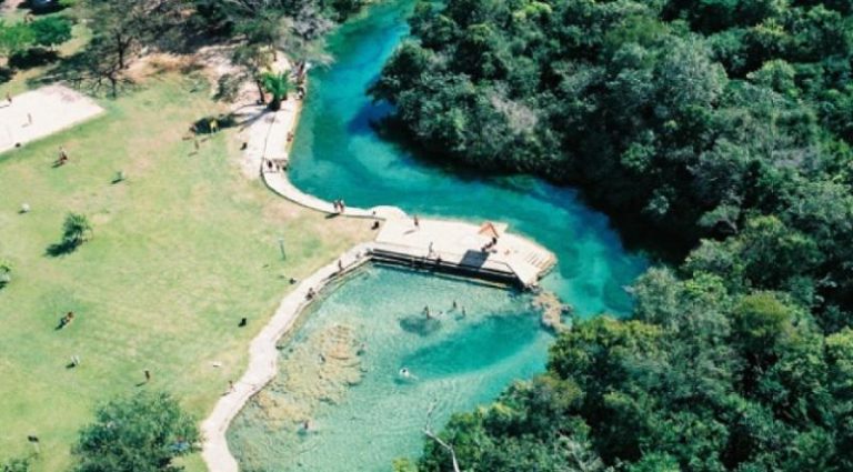 Bonito
