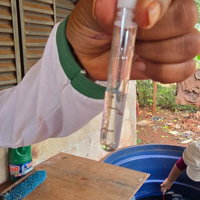 Recomendação é evitar água acumulada em objetos espalhados pelo quintal para evitar proliferação do mosquito Foto: Flávio Verão/ Assecom
