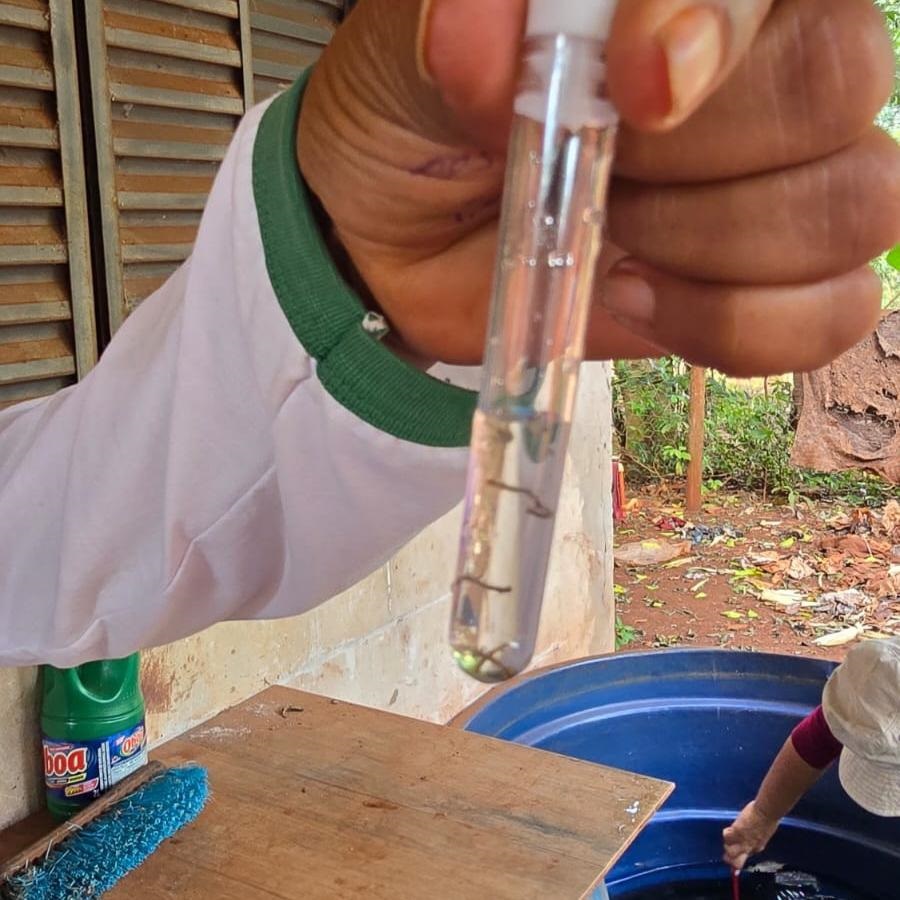 Recomendação é evitar água acumulada em objetos espalhados pelo quintal para evitar proliferação do mosquito Foto: Flávio Verão/ Assecom