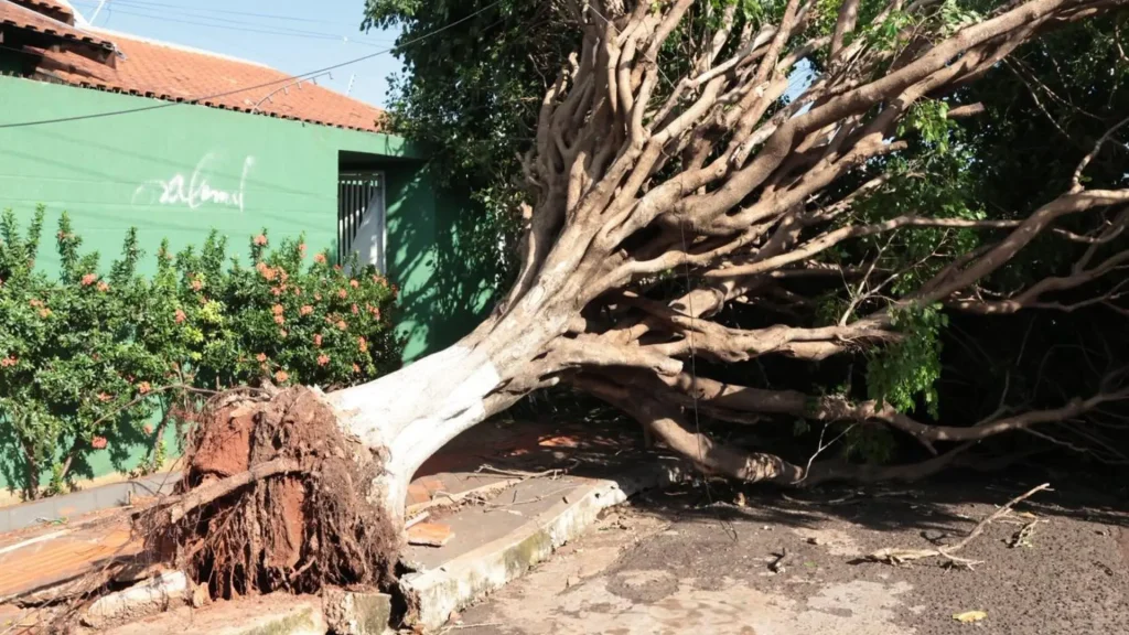 Ao menos 30 chamados foram feitos à Defesa Civil. (Foto: Pietra Dorneles/Jornal Midiamax)