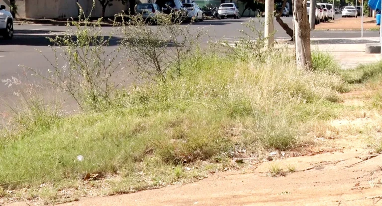 Segundo a prefeitura, o Código de Posturas exige uma faixa pavimentada mínima de 1,5 metro para passagem de pedestres e uma faixa de 1 metro de área permeável. Foto: Divulgação.