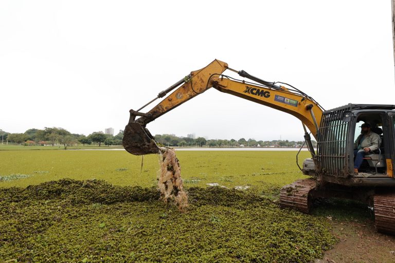 Equipes atuam no lago do Parque Antenor Martins e quando o trabalho se encerrar migarão para o lago do Parque Rego D’Água – Foto: A. Frota