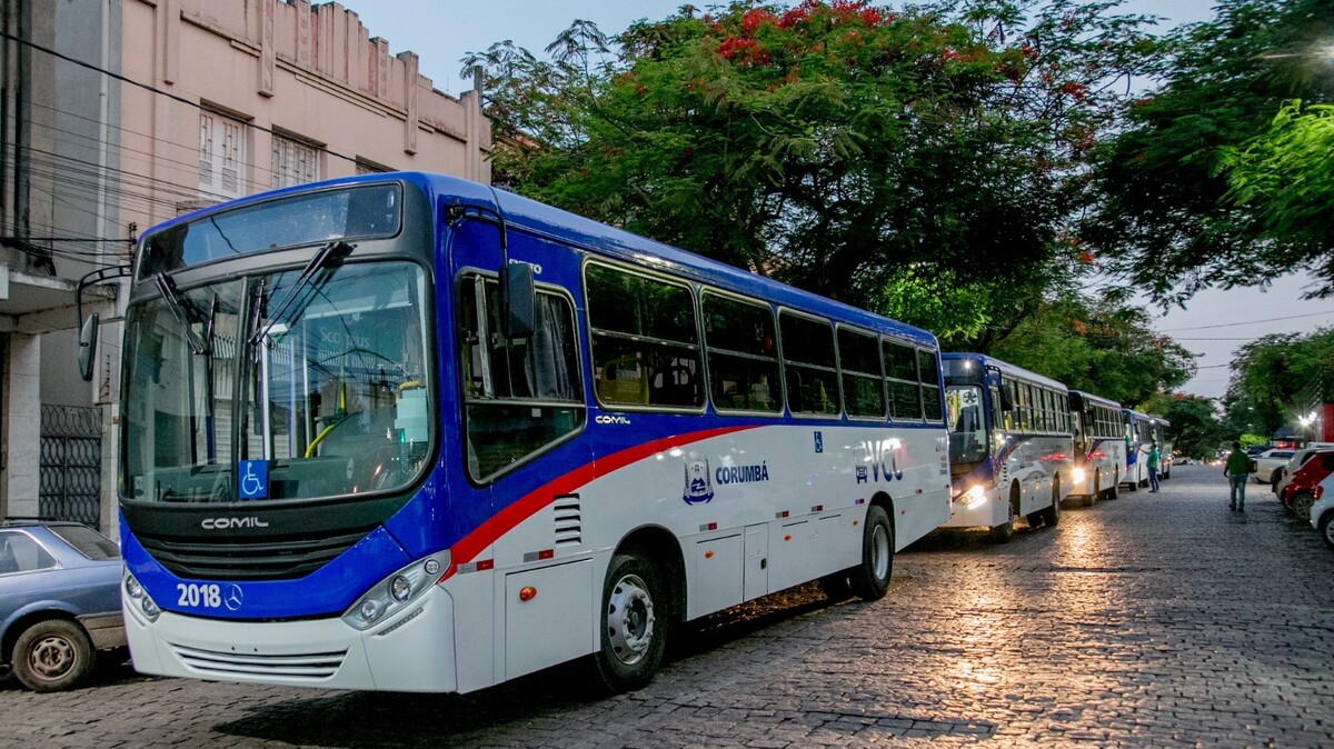 Desenhos classificados serão utilizados para estampar ônibus da cidade. (Foto: Divulgação)