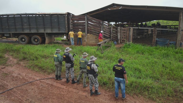 Foto: Ibama