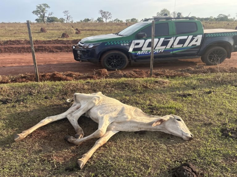 Divulgação/MPMS