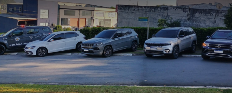 Divulgação